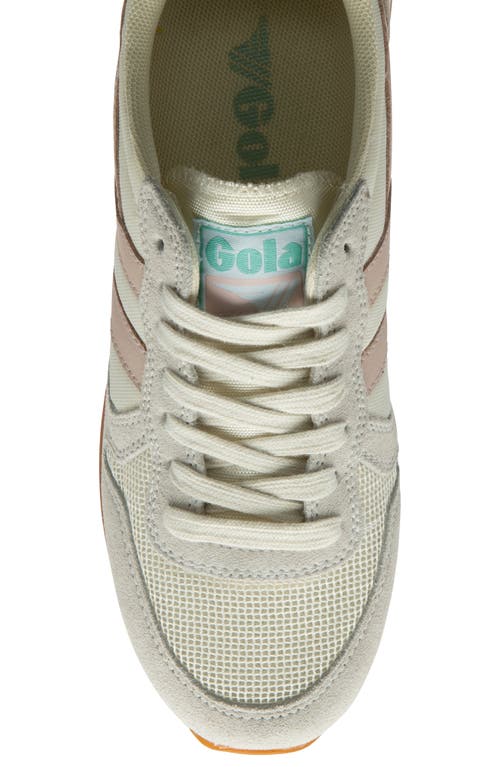 Gola Daytona Sneaker In Multi