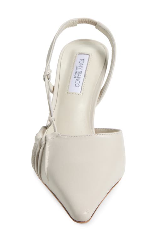 Tony Bianco Sakai Slingback Pointed Toe Pump In Dove Nappa