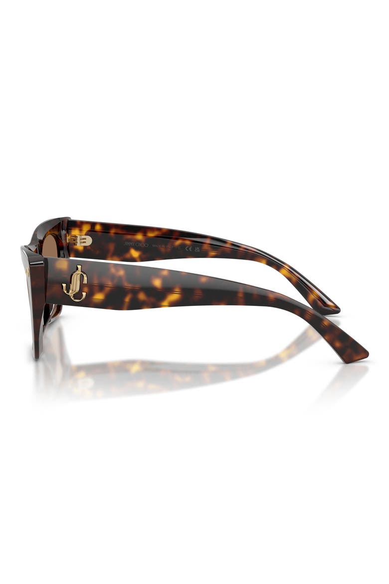 53mm Cat Eye Sunglasses, Alternate, color, HAVANA / DARK BROWN