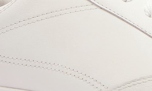 Frankie4 Asher Low Top Sneaker In Multi