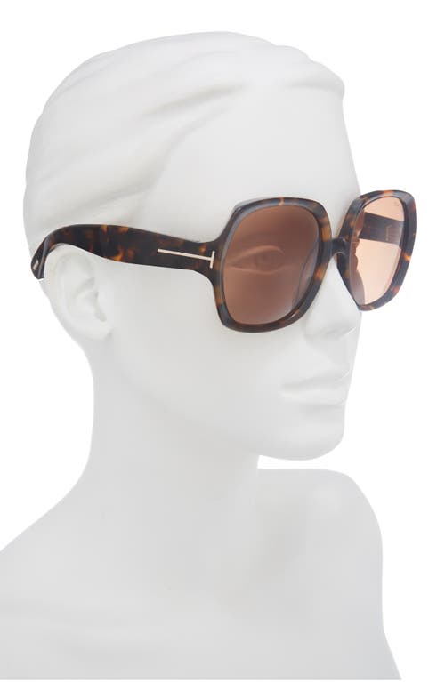 Tom Ford 54mm Square Sunglasses In Multi