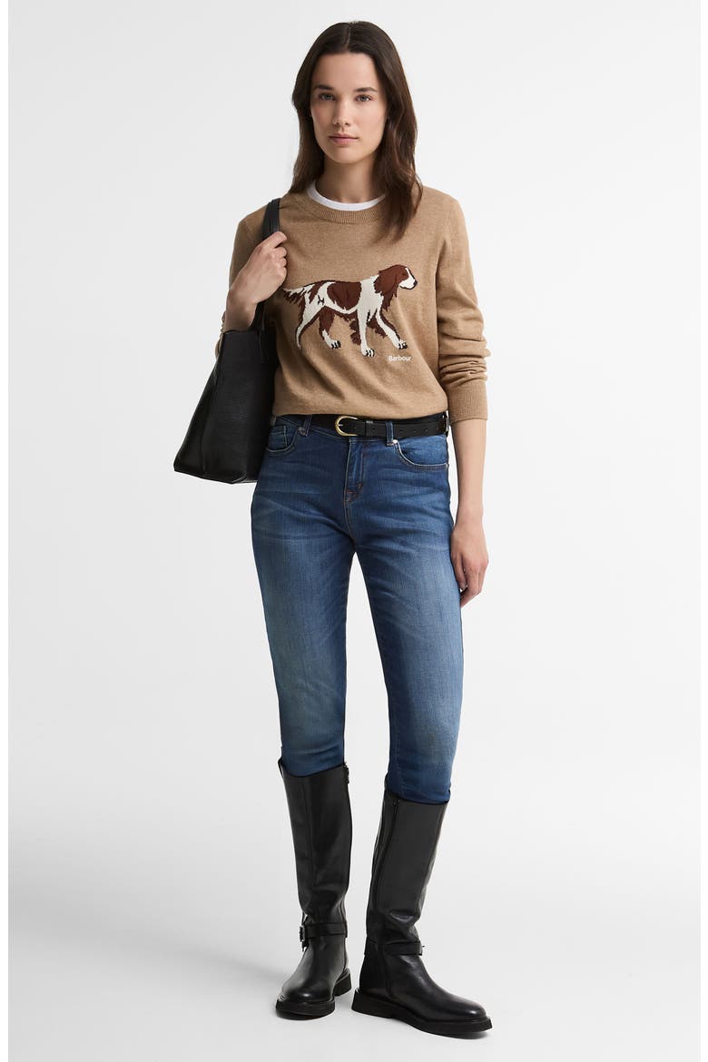 Fareham Knitted Sweater, Alternate, color, WARM TRENCH
