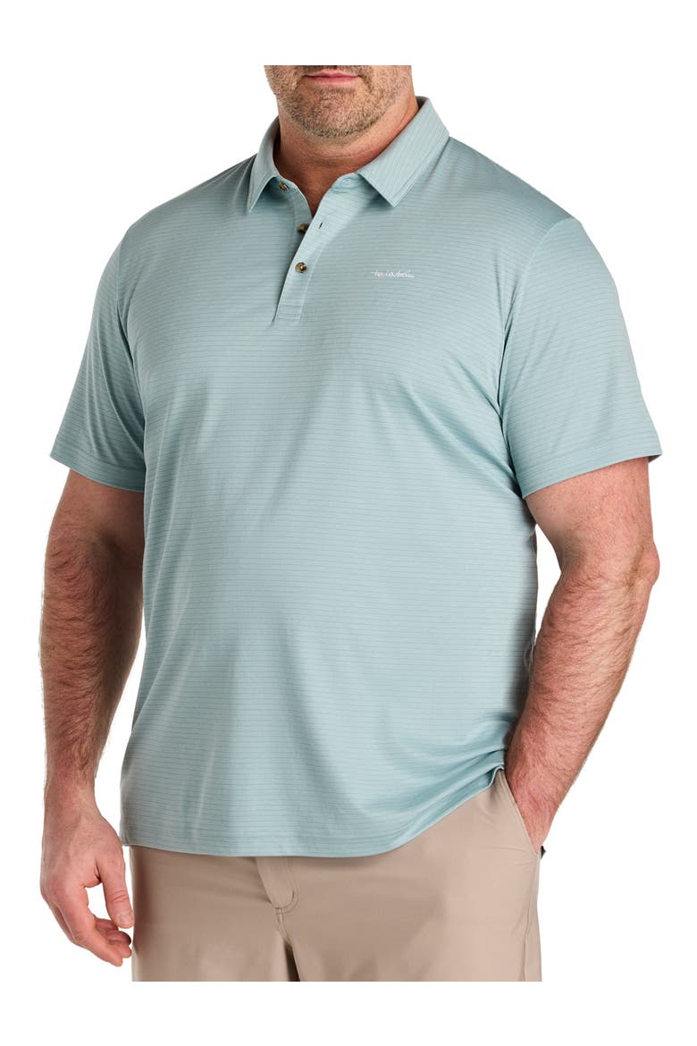Big & Tall The Zinna Polo Shirt, Main, color, ARONA