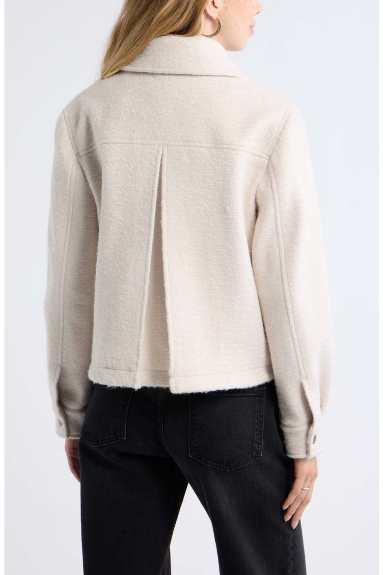 Cropped Textured Jacket, Alternate, color, BEIGE SILVER