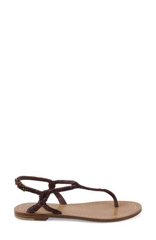 Zigi Artisan Rorie Ankle Strap Sandal In Brown