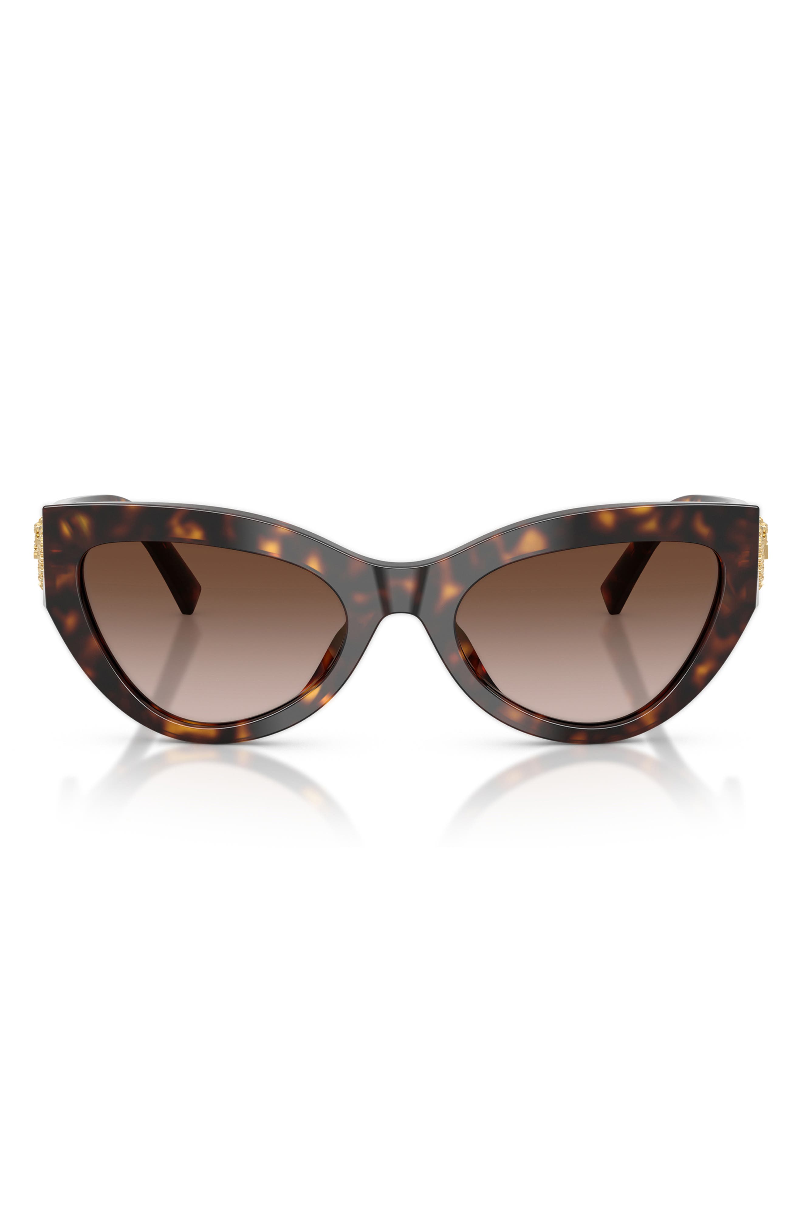 HAVANA / GRADIENT BROWN