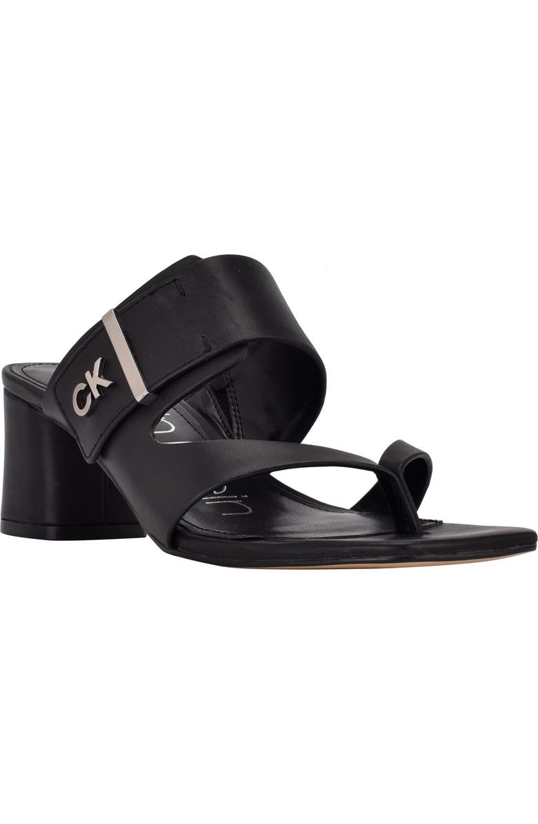 Calvin Klein Briella Block Heel Sandal, Main, color,