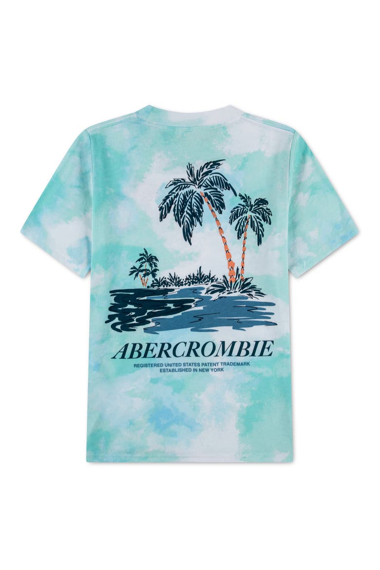 Kids' Palm Springs Graphic T-Shirt, Alternate, color, BRIGHT WHITE/TEAL