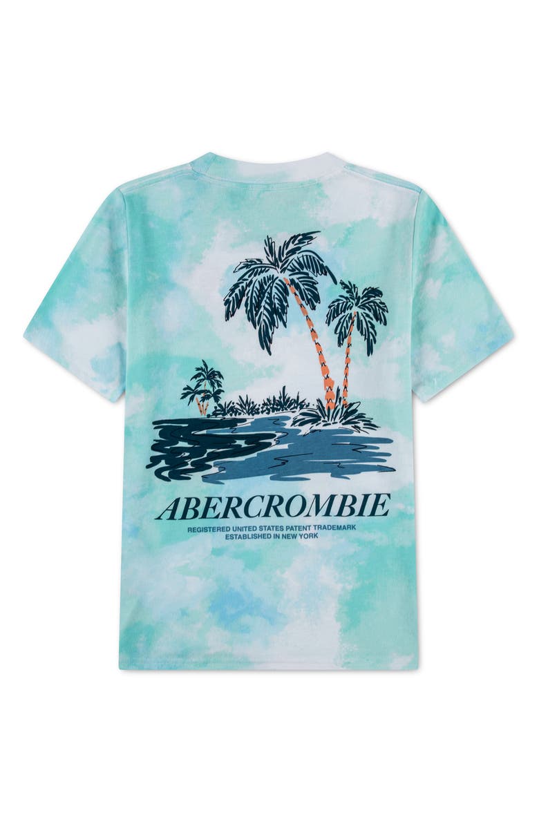 abercrombie kids Kids' Palm Springs Graphic T-Shirt, Alternate, color, Bright White/Teal