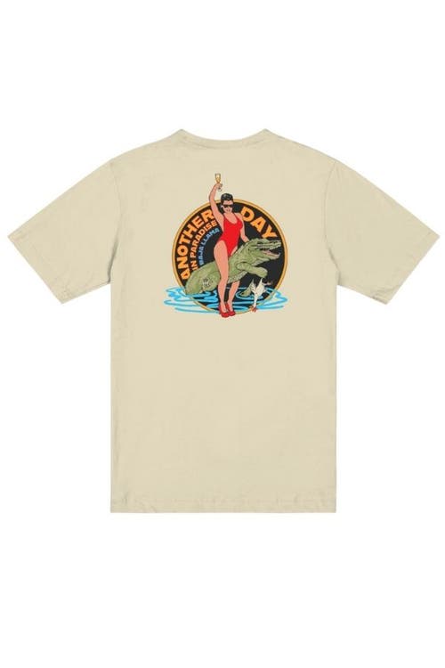 Baja Llama GIRL CROC - BLACK PRIMO GRAPHIC TEE in Cream 