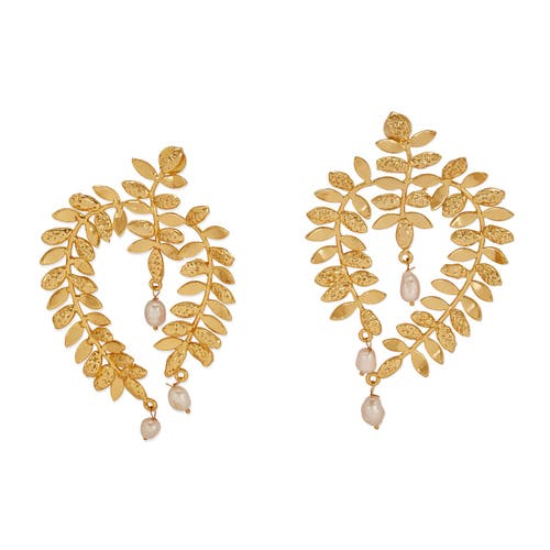 Dhwani Bansal Hadaira Pearl Earrings in Gold Plated  product