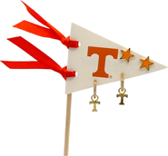 Color Shout University Of Tennessee Pennant Pair Earring Set