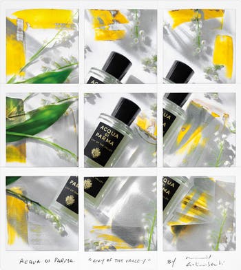 Acqua di Parma Signatures of the Sun Lily of the Valley Eau Acqua di Parma Signatures of the Sun Lily of the Valley Eau