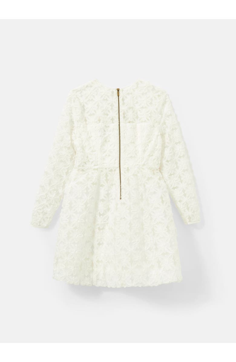 MINT VELVET Lace Hourglass Mini Dress, Alternate, color, 