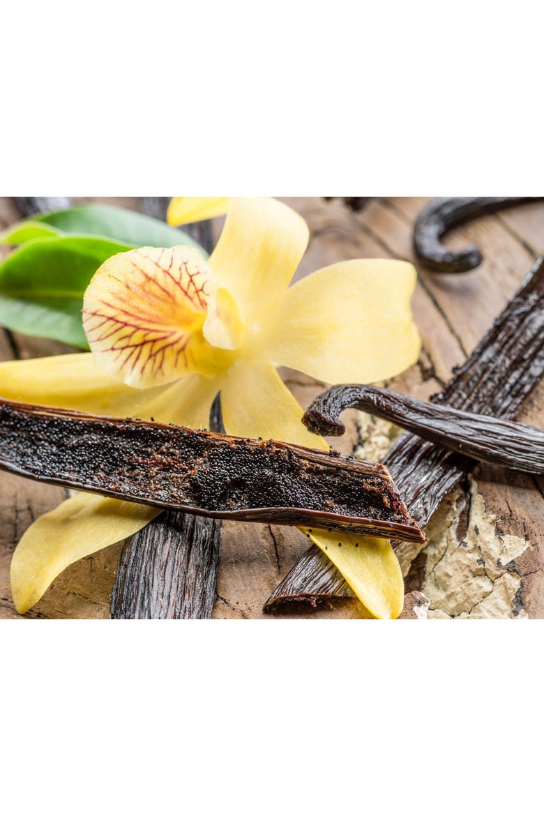 Vanilla & Cardamom Body Oil, Alternate, color, No Color