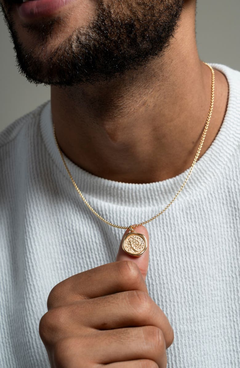 Dower
Hall Men
s Tree of Life Talisman Necklace, Alternate, color, Yellow Gold Vermeil