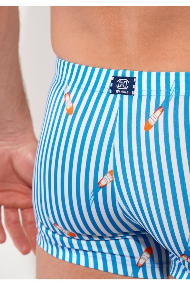 Viareggio Swim Shorts, Alternate, color, Blue and White Stripes