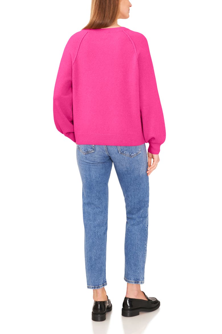 Raglan Sleeve Sweater, Alternate, color, PARADOX