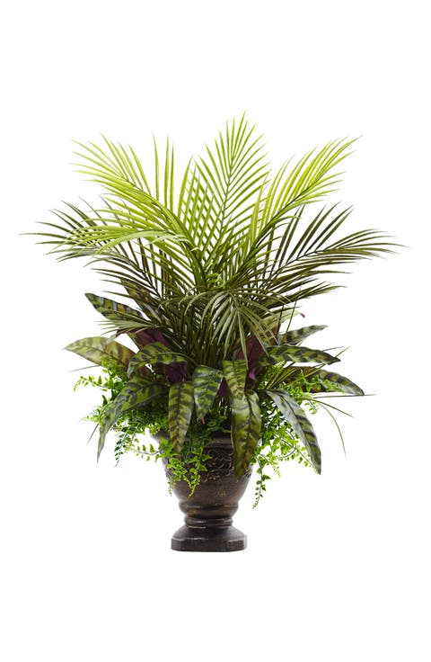 27-in Mixed Areca Palm, Fern & Peacock with Planter