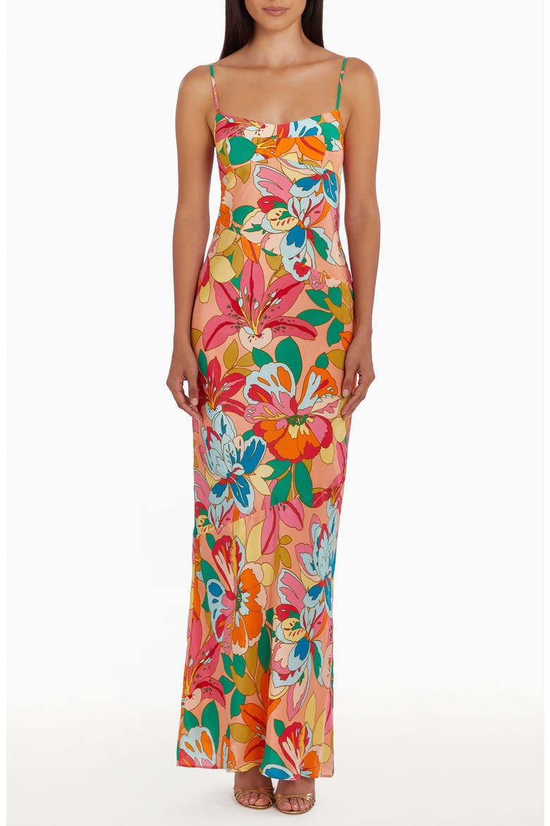 Janeiro Floral Maxi Dress, Main, color, BOTANICO