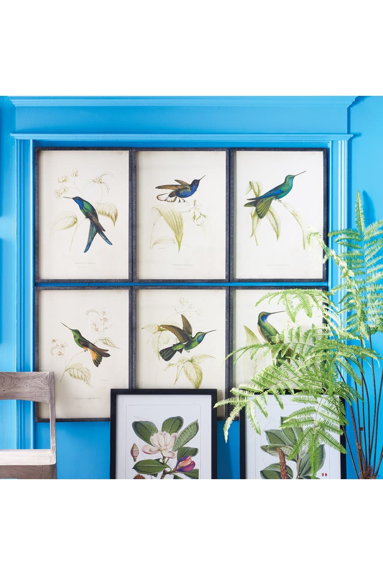 Hummingbird Prints Set of 6, Alternate, color, Black