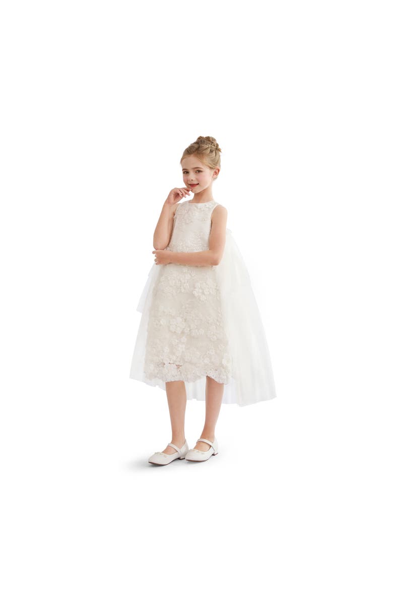 Tulleen Zeloria Formal Dress, Alternate, color, White