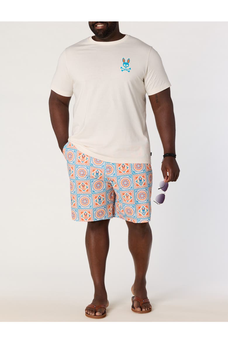 Big & Tall Frank Swim Trunks, Alternate, color, MULTI