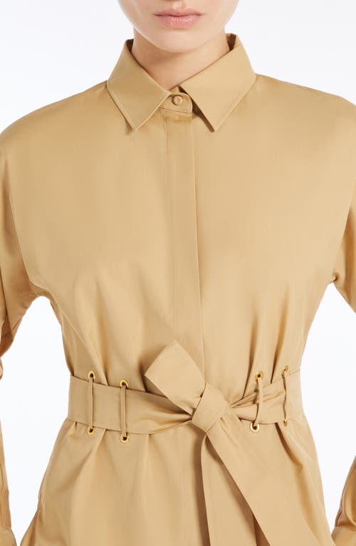 Max Mara Belted Button-up Long-sleeved Shirt In Caramel