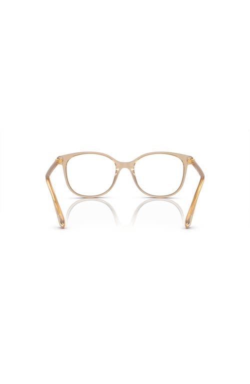 Swarovski 51mm Square Optical Glasses In Neutral