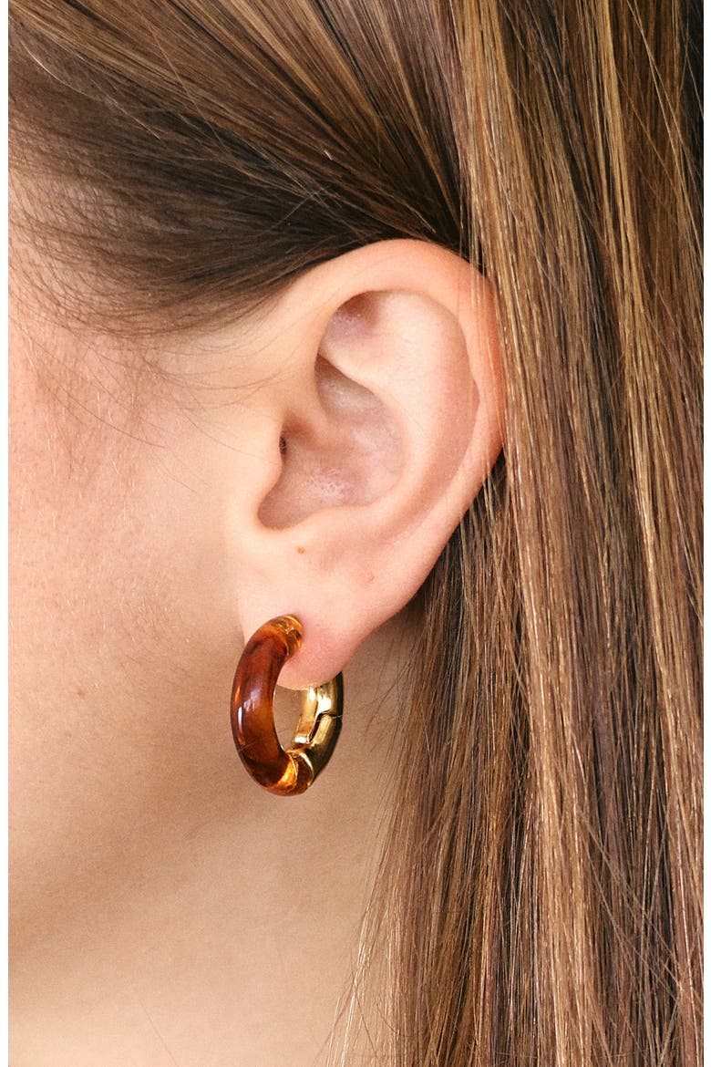 Acacia Resin Hoop Earrings, Alternate, color, BROWN