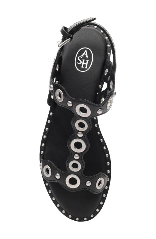 Ash Pop Slingback Sandal In Black