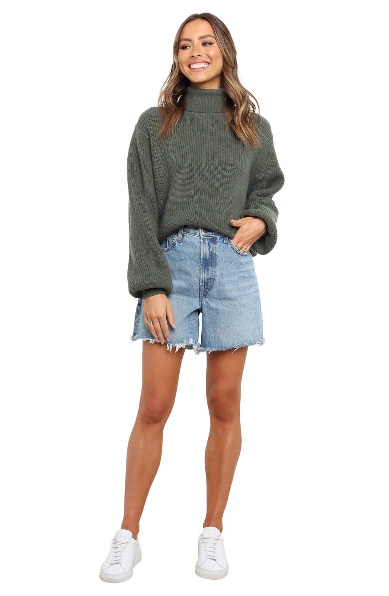 Petal & Pup Freddie Turtleneck Sweater, Alternate, color, Green