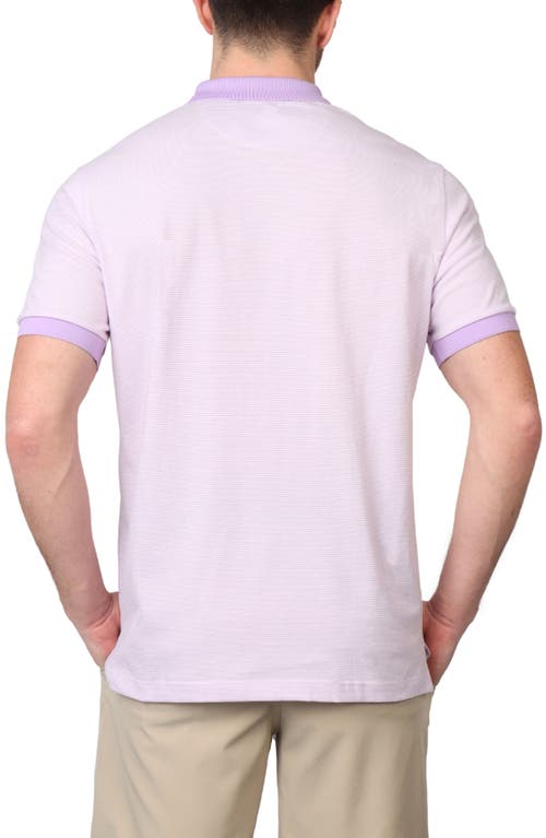 Shop Tailorbyrd Super Soft Stripe Yarn Dye Polo In Lilac