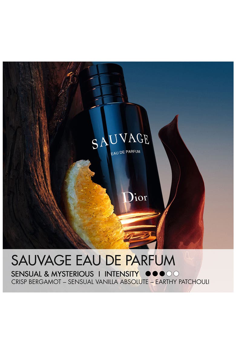 Sauvage Eau de Parfum, Alternate, color, REGULAR