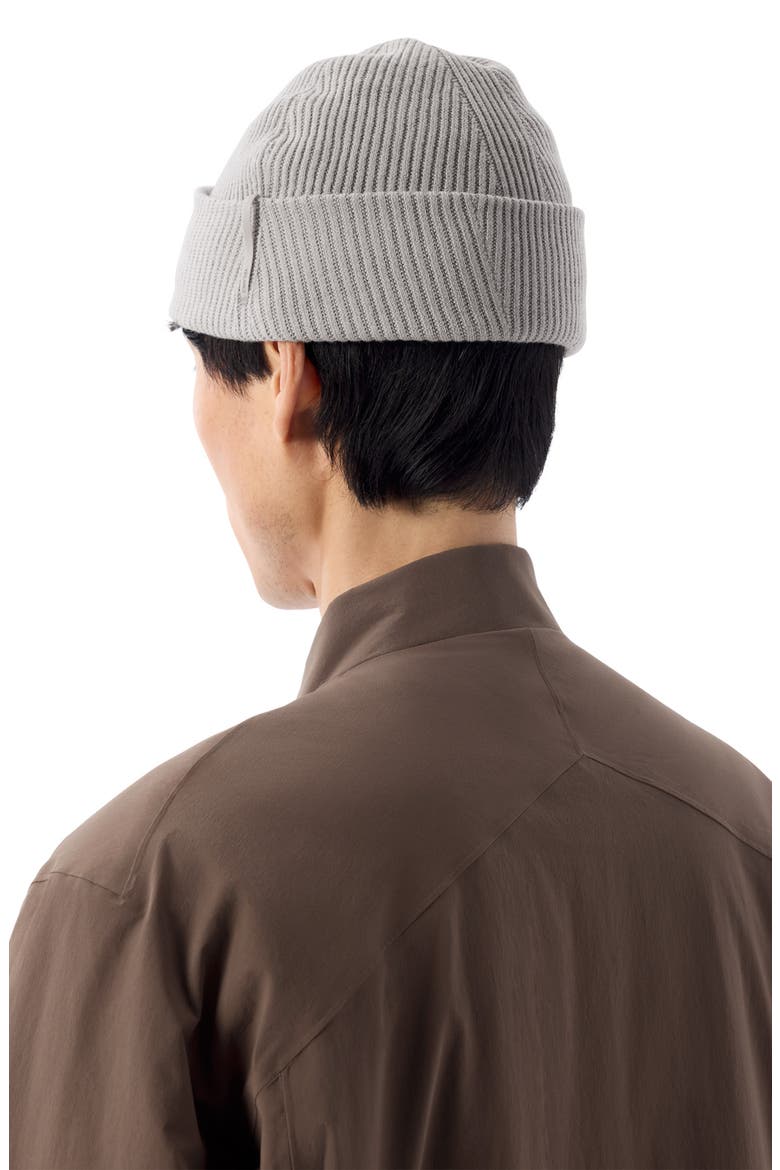Conic Wool Toque, Alternate, color, SILKSTONE
