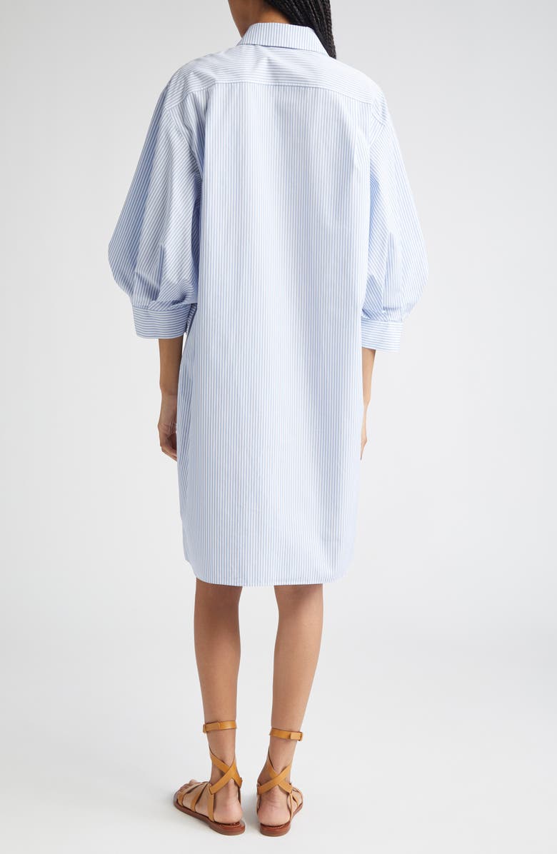 Stripe Lantern Sleeve Shirtdress