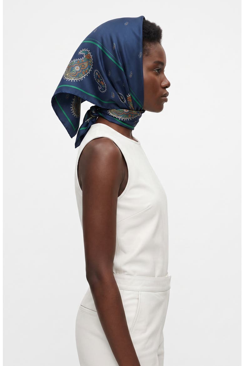 Paisley Nocturne Double Sided Silk Scarf, Alternate, color, Blue