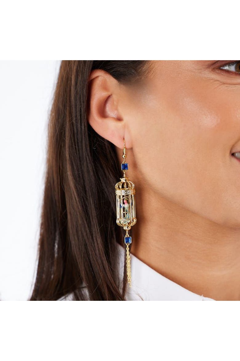 Bird Cage Drop Earrings, Alternate, color, Bird Cage