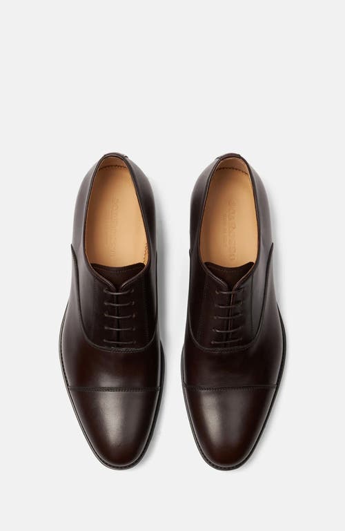 Scarosso Cesare Oxfords