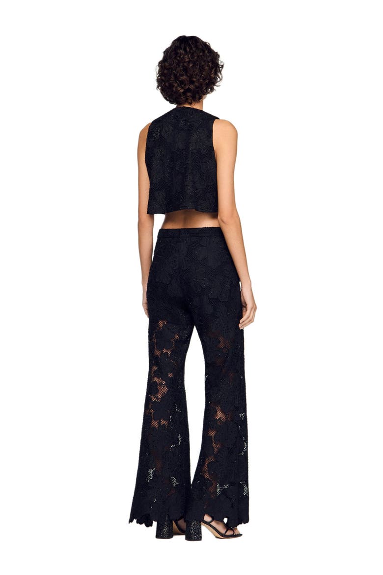Embroidered guipure crop top, Alternate, color, Black