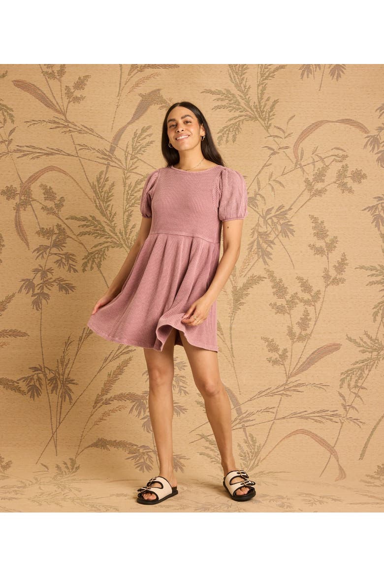 Ethel Dress, Alternate, color, Blossom