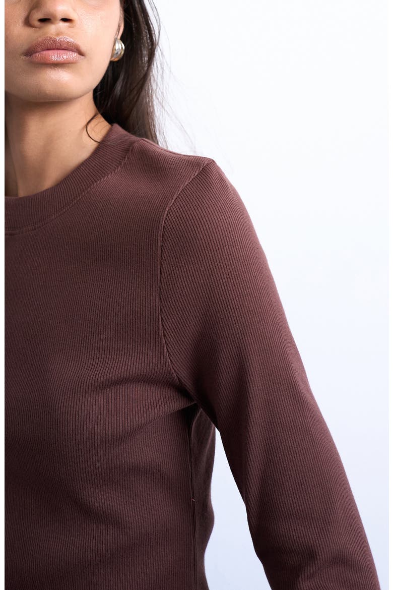 Long Sleeve Curve Hem Rib Top, Alternate, color, BROWN