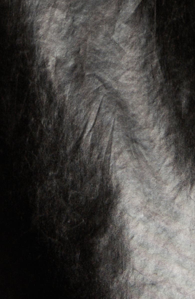 Moncler Jubba Glossy Nylon Hooded Jacket, Alternate, color, 