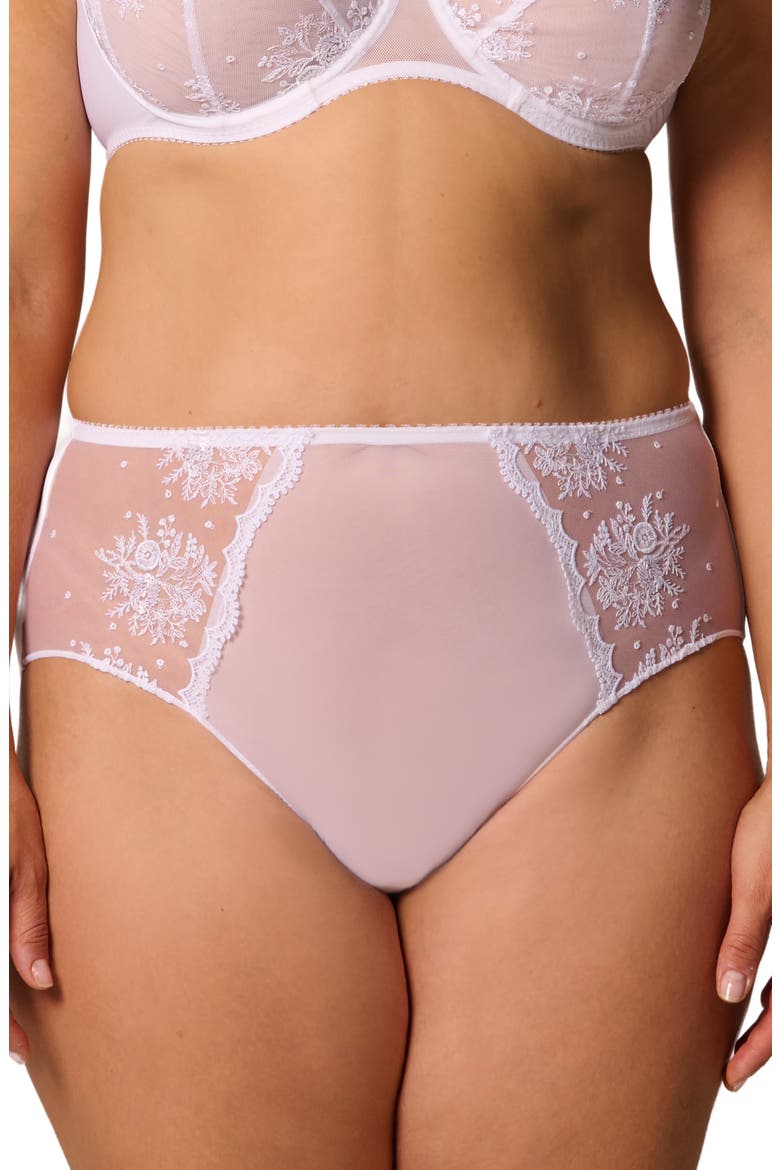 Intrigue Floral Embroidered Briefs, Alternate, color, WHITE