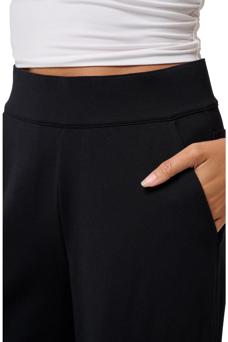 Friday Ponte Utility Pants, Alternate, color, BLACK