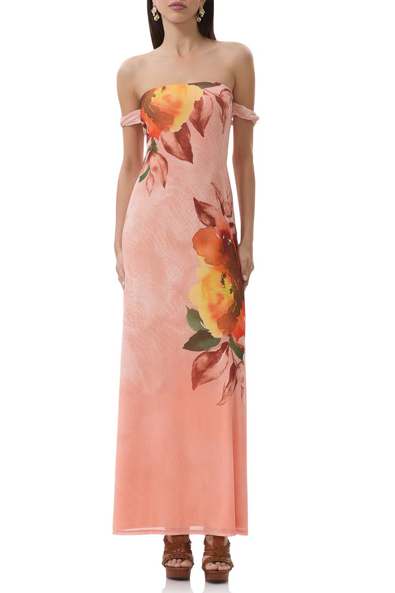 Barot Printed Off the Shoulder Mesh Maxi Dress, Main, color, SNAKE BLOOM