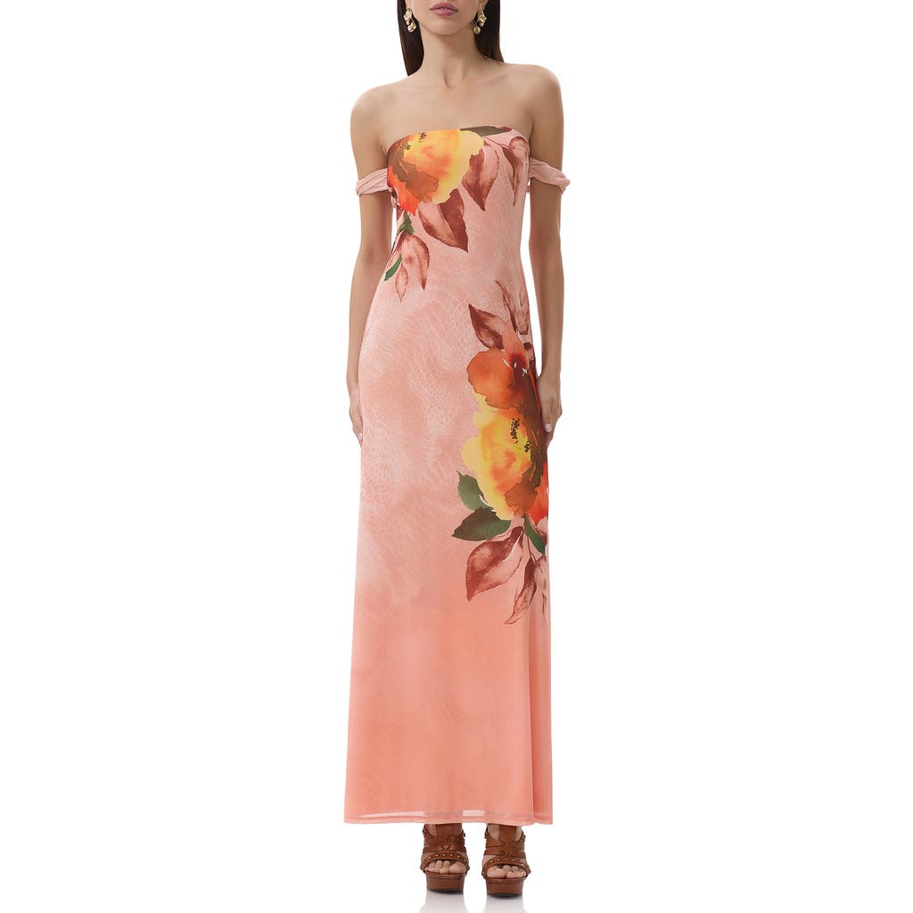 Afrm Barot Printed Off The Shoulder Mesh Maxi Dress
