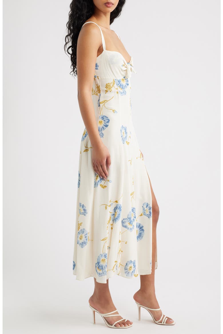 Aislinn Floral Tie Front Dress, Alternate, color, GLORIOUS