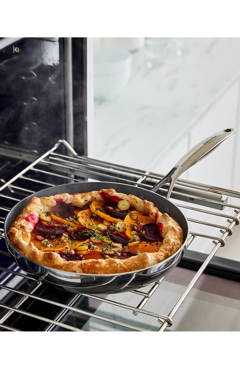 GreenPan Valencia Pro Stainless Steel Nonstick 8-Inch 
10-Inch Fry Pan Set, Alternate, color, Stainless Steel