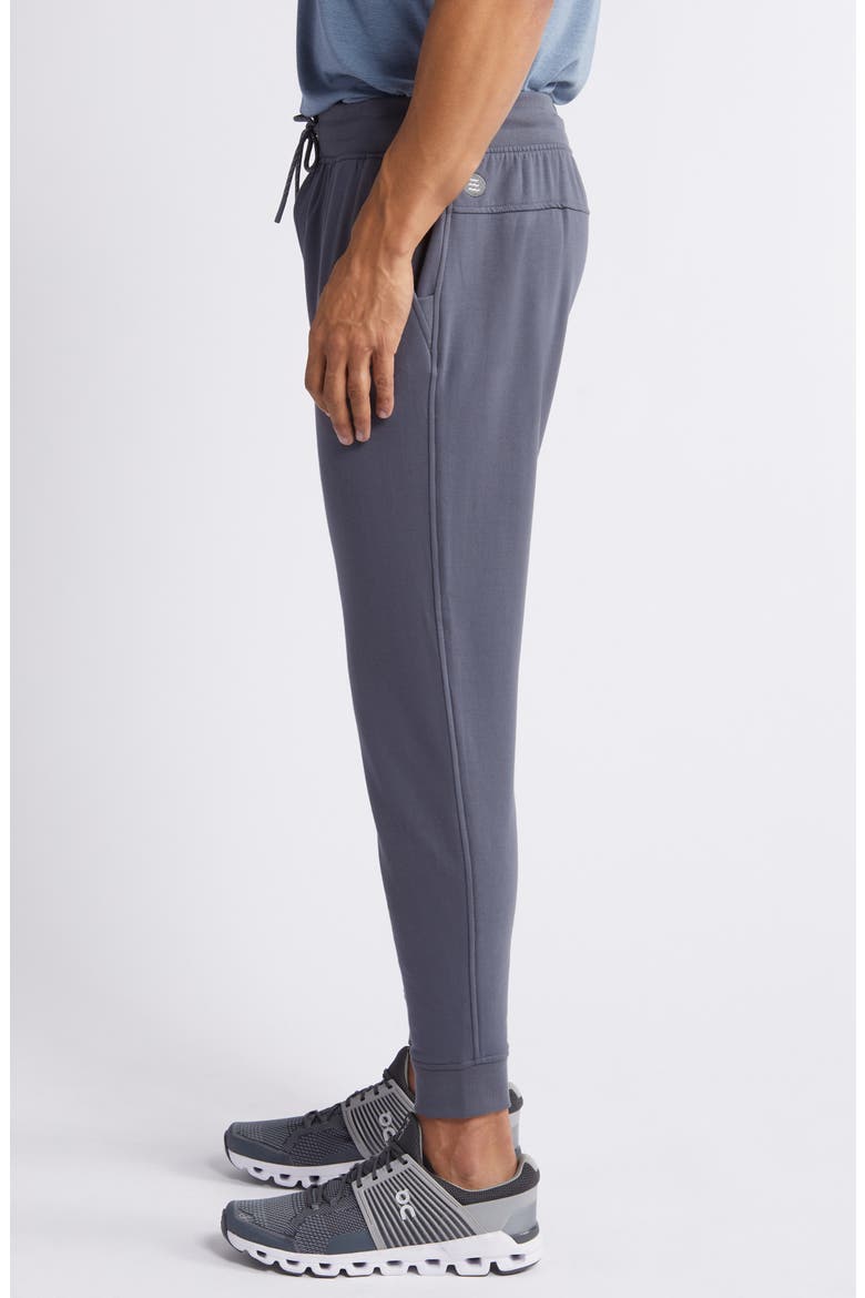 Brushed Fleece Joggers, Alternate, color, STORM CLOUD